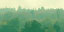"Mount Royal Fog" Thumbnail