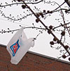The plastic bag on the tree
