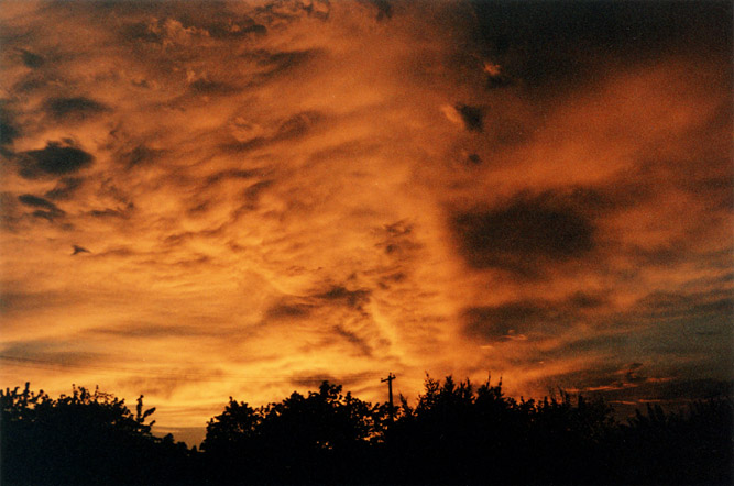 Douglas Park Sunset